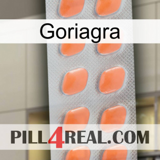 Goriagra 26
